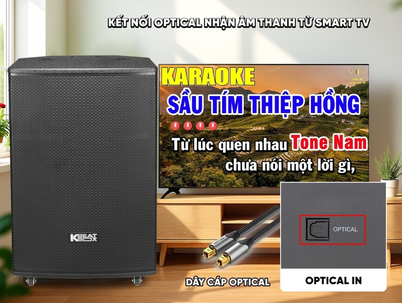 Loa kéo Karaoke SONCAMEDIA CB88 kết nối OPTICAL in nhận âm thanh từ Smart TV