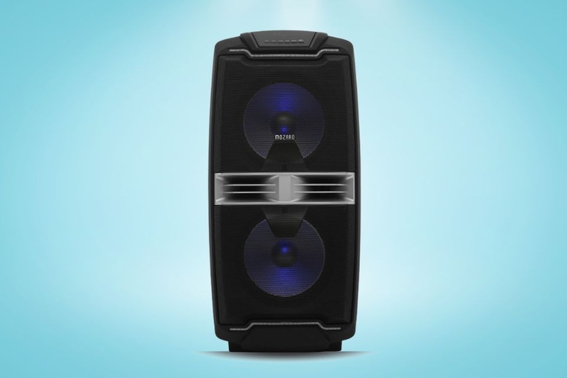 loa mozard (ảnh 10)