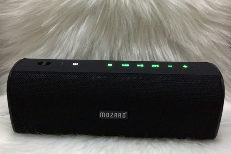 loa mozard (ảnh 1)