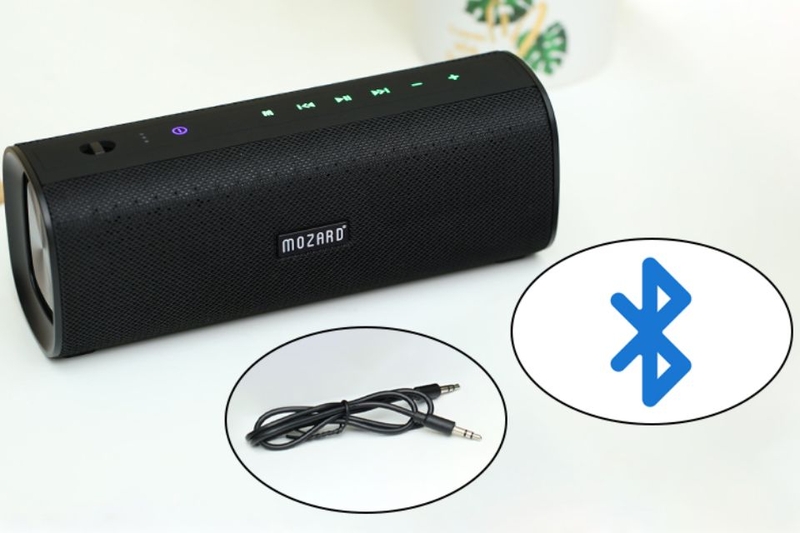 loa mozard (ảnh 2)