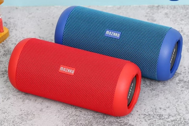 loa mozard (ảnh 3)