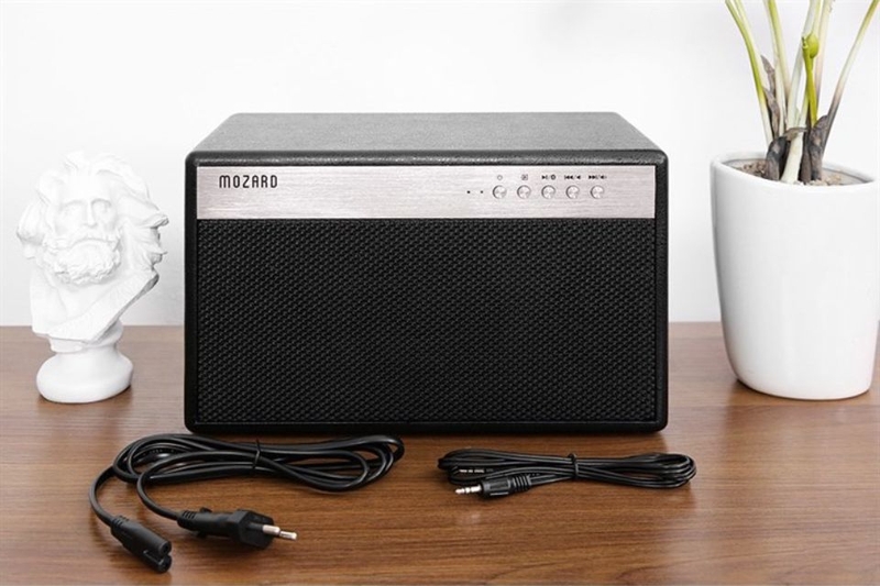 loa mozard (ảnh 8)