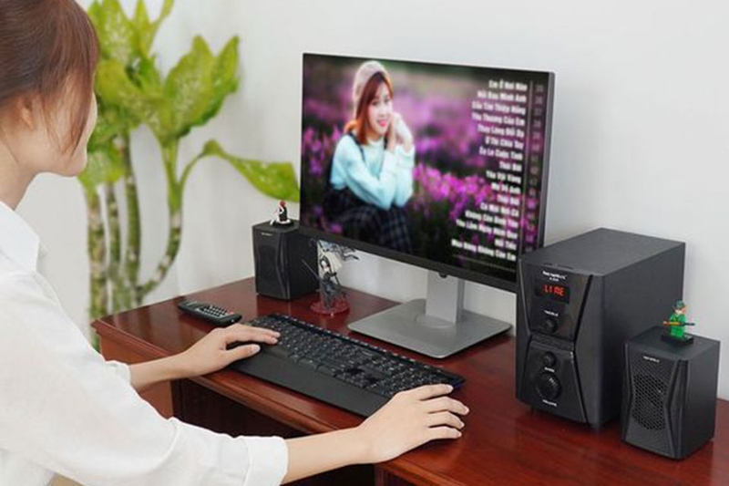 Loa vi tính công suất lớn - 04