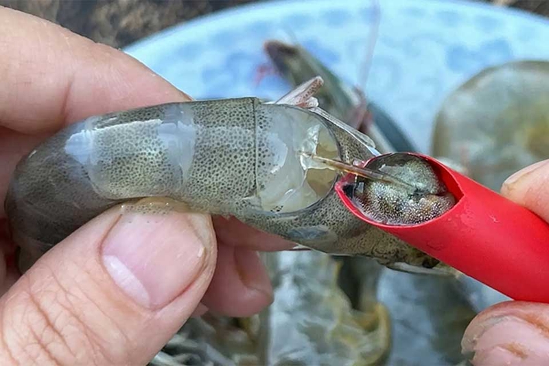 Cách loại bỏ chỉ đen ở lưng tôm - 05
