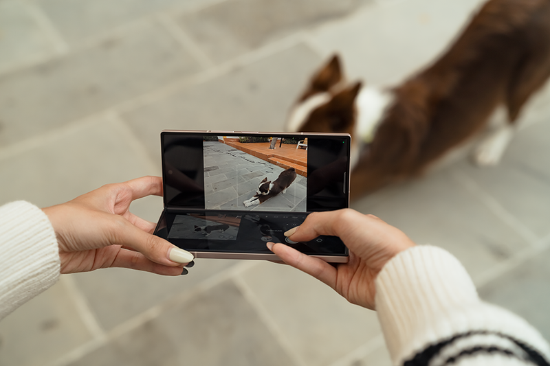 Những trải nghiệm đáng tiền và nổi bật của Galaxy Z Fold6 18