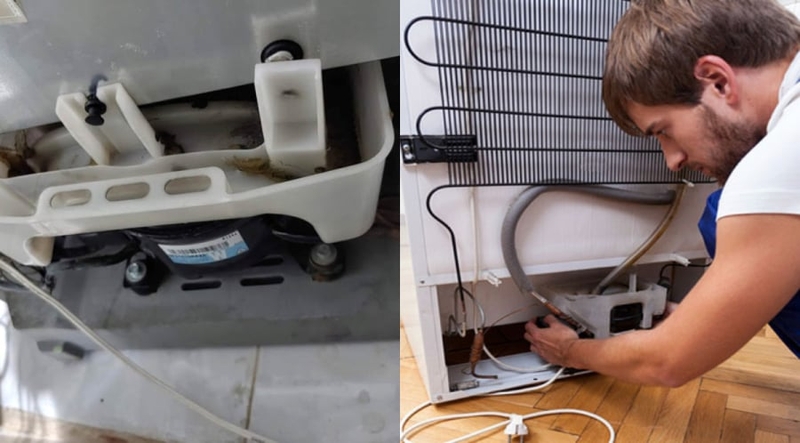 lốc tủ lạnh không chạy ảnh 5