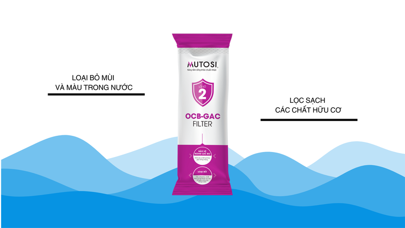 Chức năng của của lõi 2 OCB-GAC