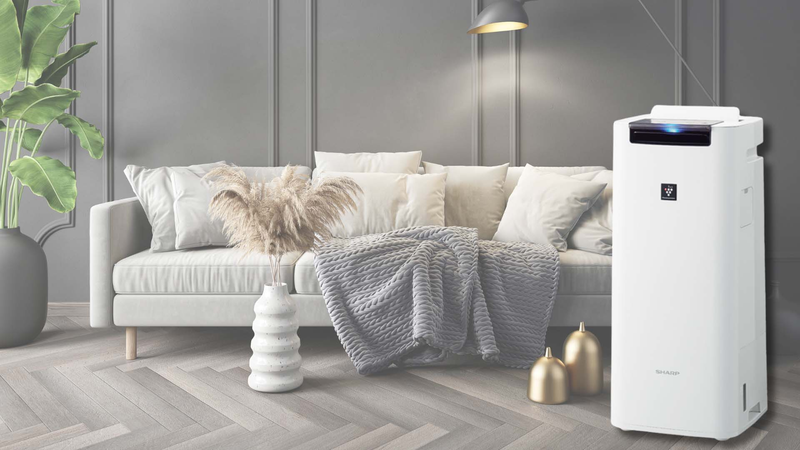 Lỗi C8 m&aacute;y lọc kh&ocirc;ng kh&iacute; Sharp 1