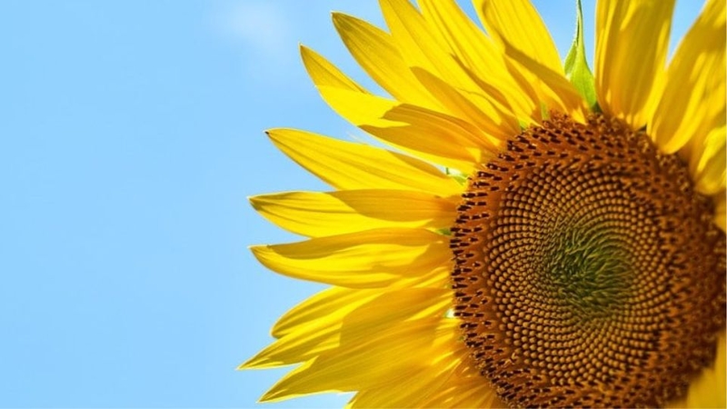 Lời chúc bình an, may mắn ngắn gọn 2