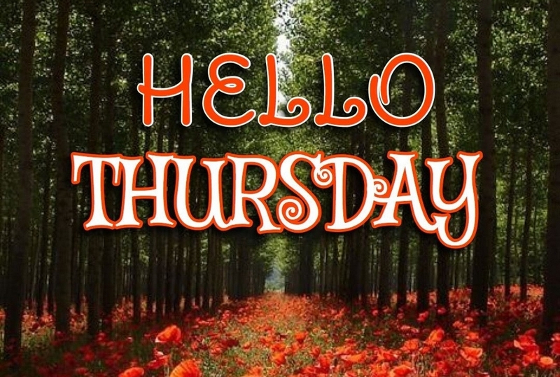 Lời chúc ngày thứ 5 ảnh 2