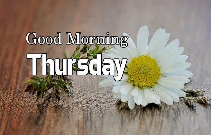 Lời chúc ngày thứ 5 ảnh 4