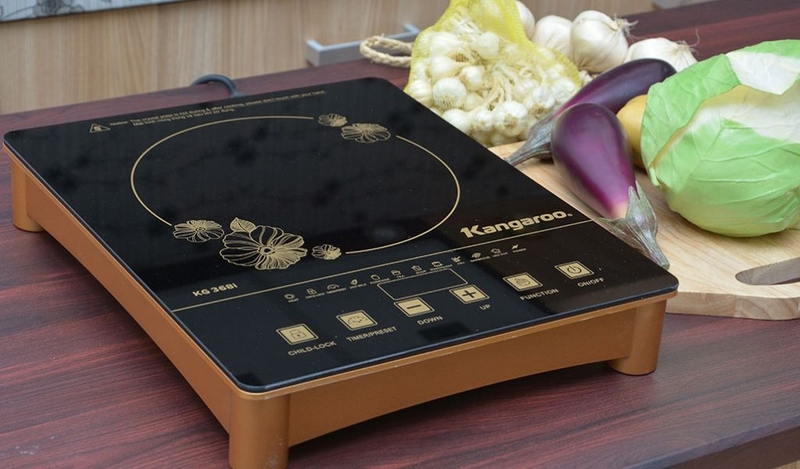 Lỗi E2 bếp hồng ngoại Kangaroo - hình 3
