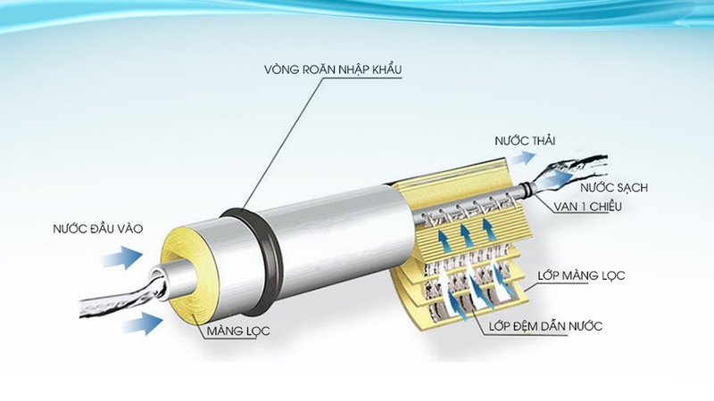 Cấu tạo của lõi hương vị NOP9