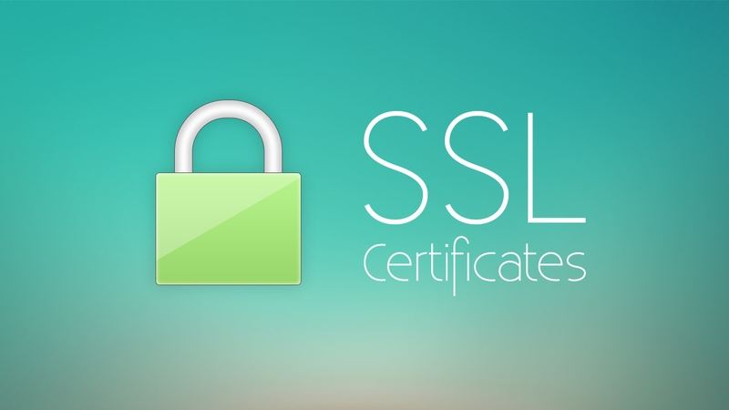 loi-neterr-cert-date-invalid-8.png