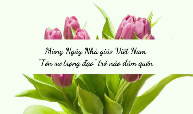 Lời ngỏ 20/11 ngắn gọn, tràn đầy tình cảm