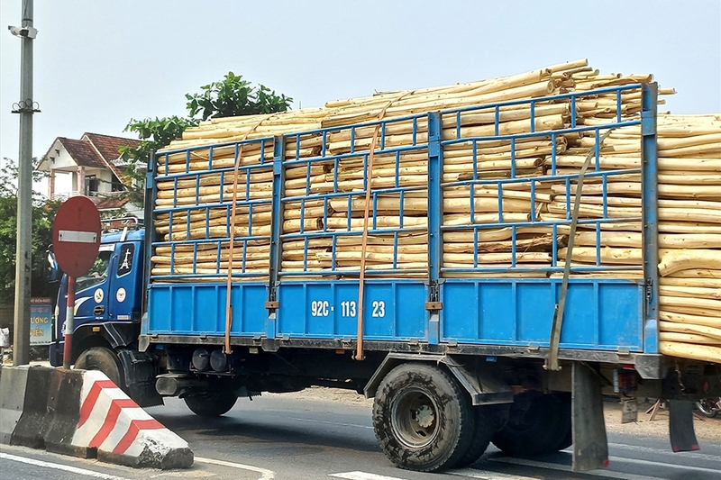 Lỗi quá tải - 02