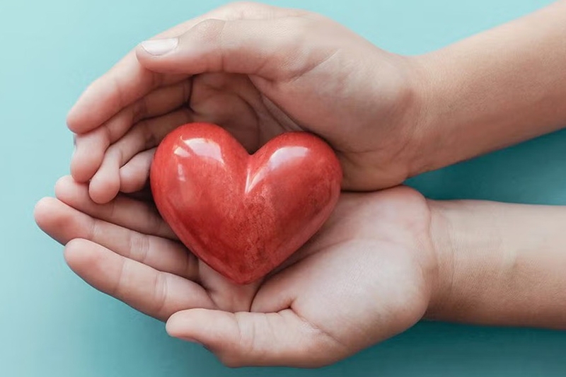 Lòng biết ơn là gì 13