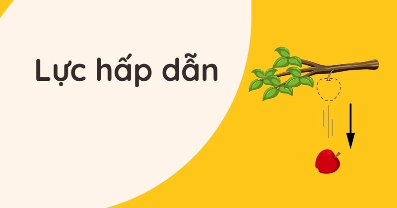 lực hấp dẫn 15
