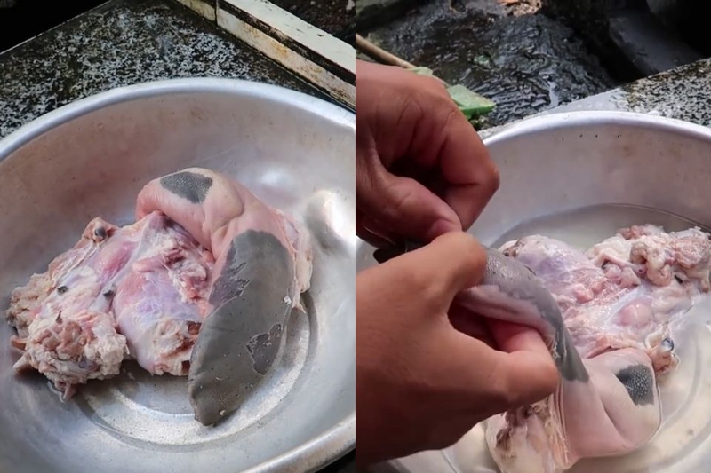 lưỡi bò hấp sả (ảnh 2)