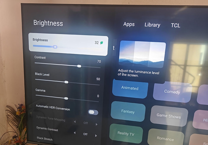 Lưu ảnh tr&ecirc;n m&agrave;n h&igrave;nh OLED - 05