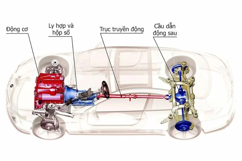 ly hợp là gì ảnh 2