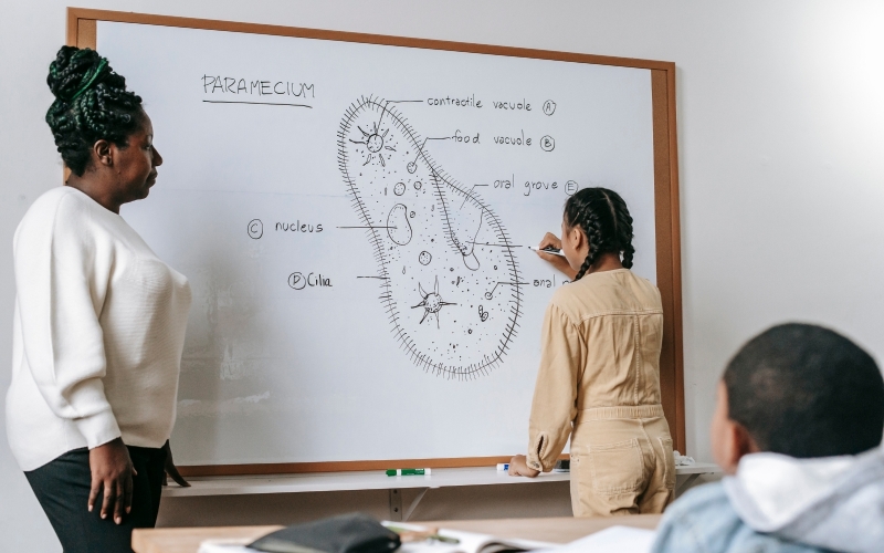 Sư phạm Sinh học