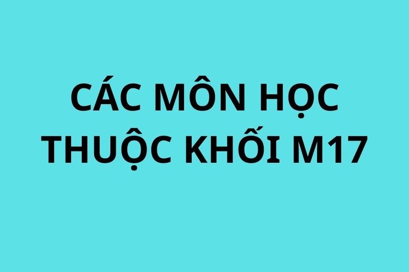 Tổ hợp môn M17 là một trong những lựa chọn phổ biến