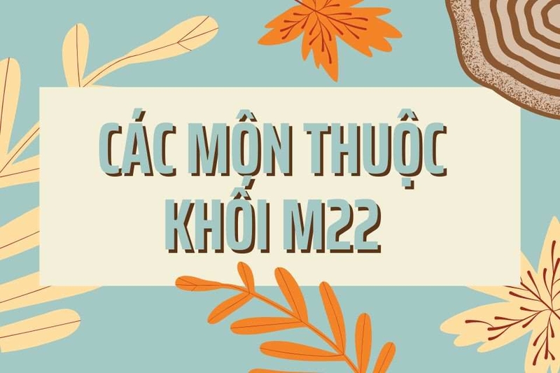 Khối M22 là một tổ hợp độc đá