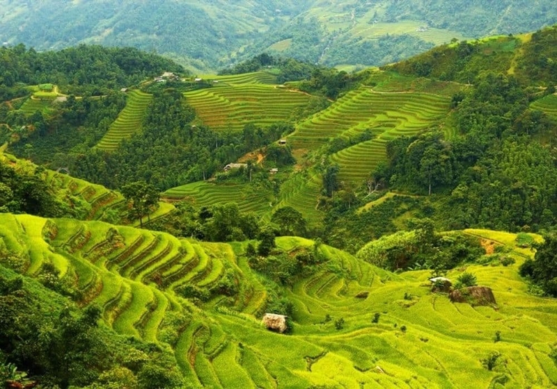 Mã bưu chính Sơn La 2026 3