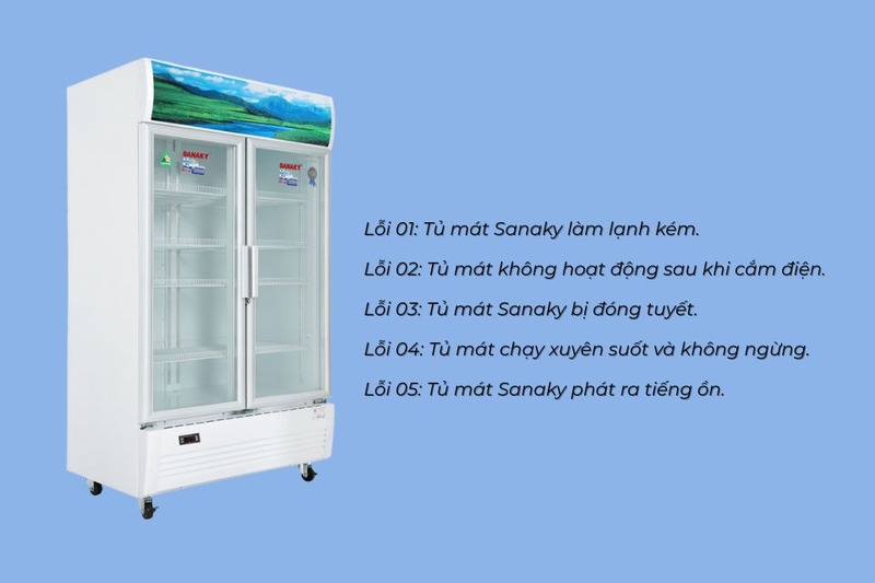 mã lỗi tủ mát sanaky