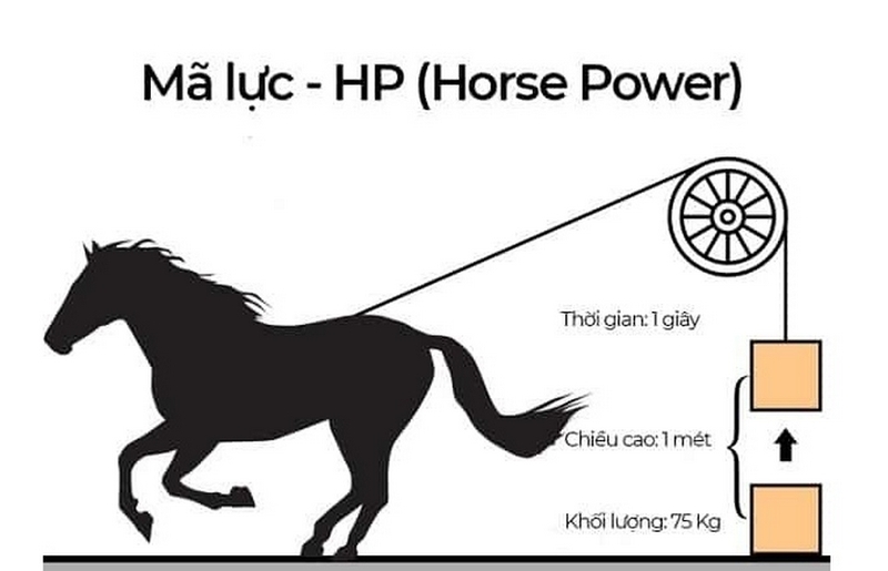 mã lực là gì ảnh 1