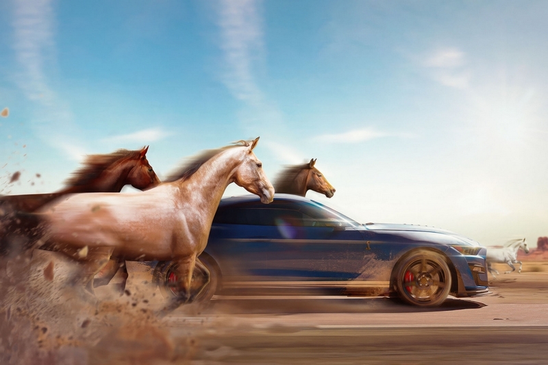 mã lực là gì ảnh 6