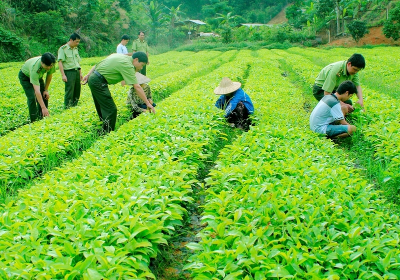 Mã ngành 0163 ảnh 2