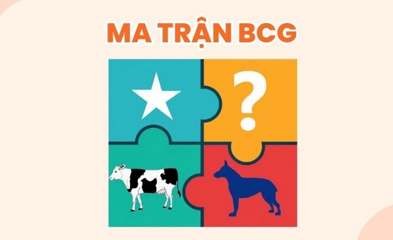 ma trận bcg ảnh 4