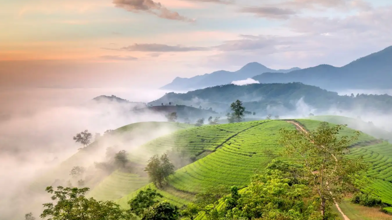 Mã ZIP Phú Thọ sau sáp nhập có gì thay đổi?
