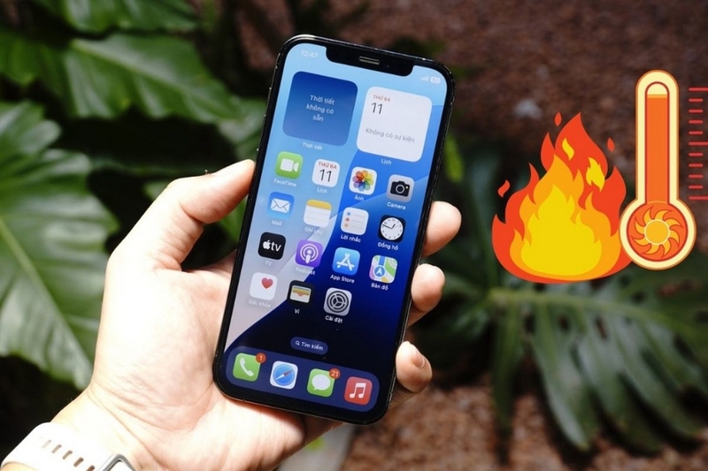 main điện thoại là gì ảnh 2