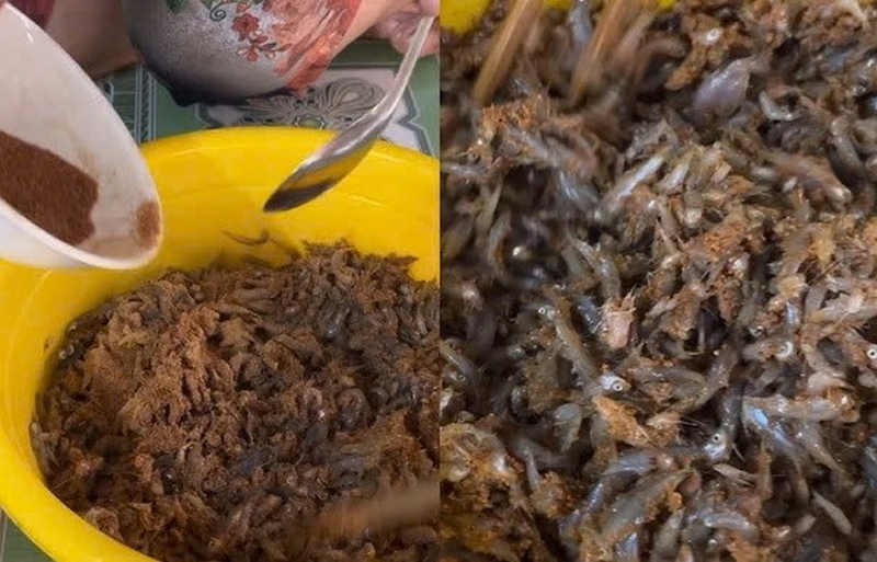 mắm cá lia thia ảnh 1