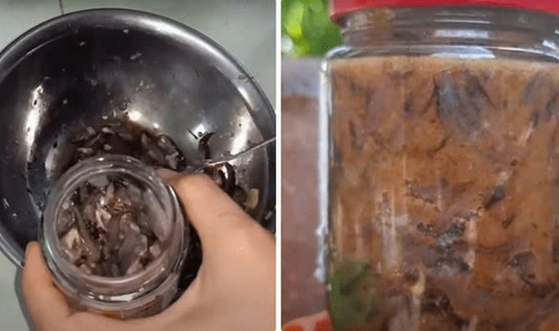 mắm cá lia thia ảnh 4