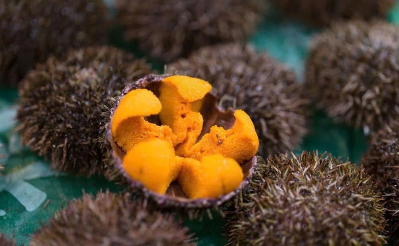 mắm nhum ảnh 1