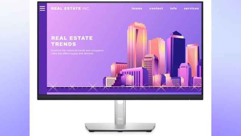 Màn hình Dell P2422H/23.8 inch/FHD/IPS 60Hz