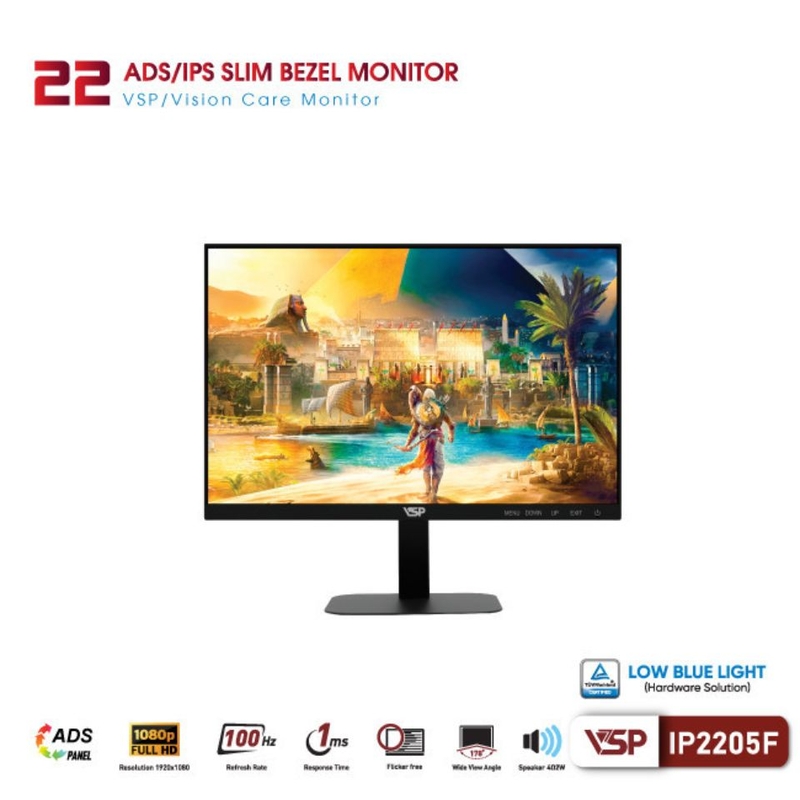 VSP IP2205F-H 22 inch