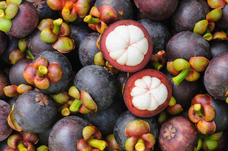 Măng cụt bao nhiêu calo 2