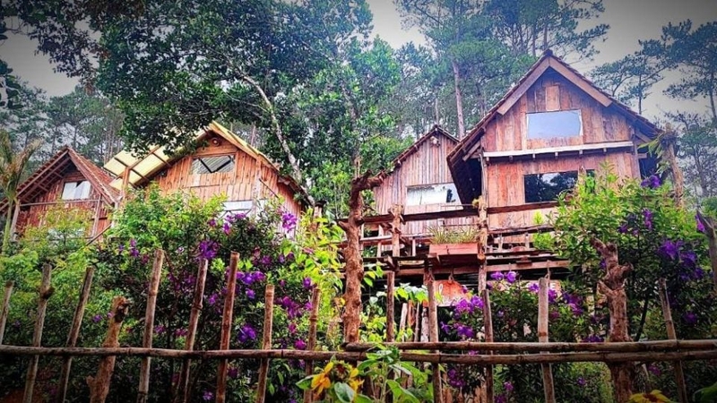 Đến Măng Đen ở đâu là hợp lý?