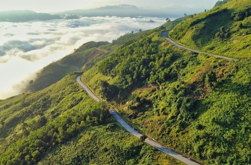 măng đen ở tỉnh nào ảnh 3