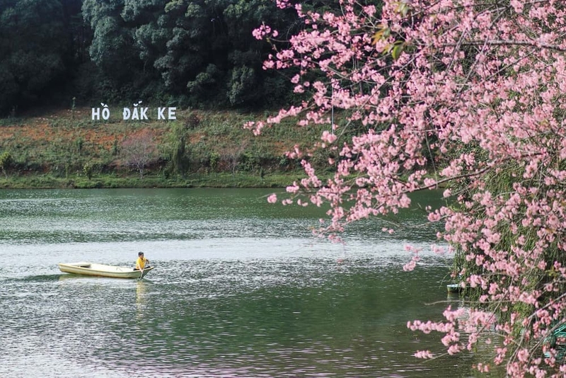 măng đen ở tỉnh nào ảnh 5