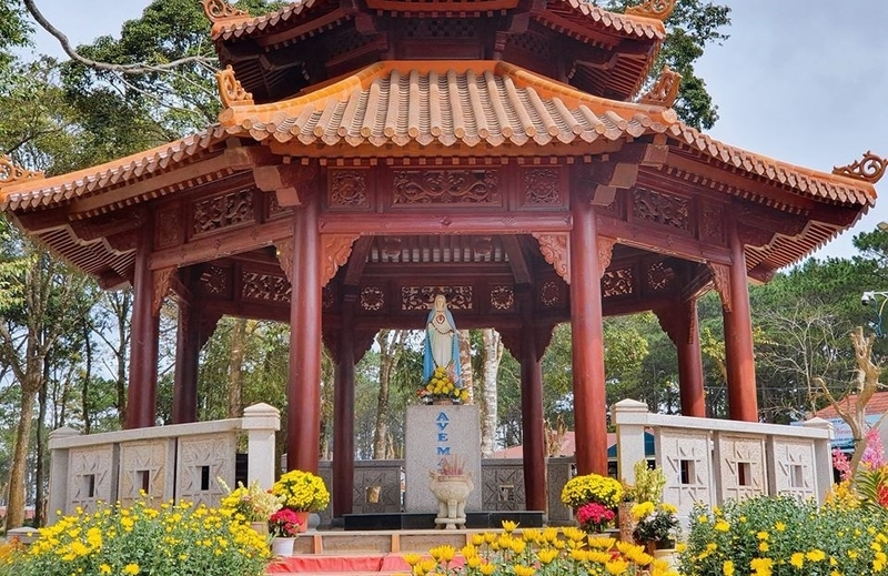 măng đen ở tỉnh nào ảnh 6