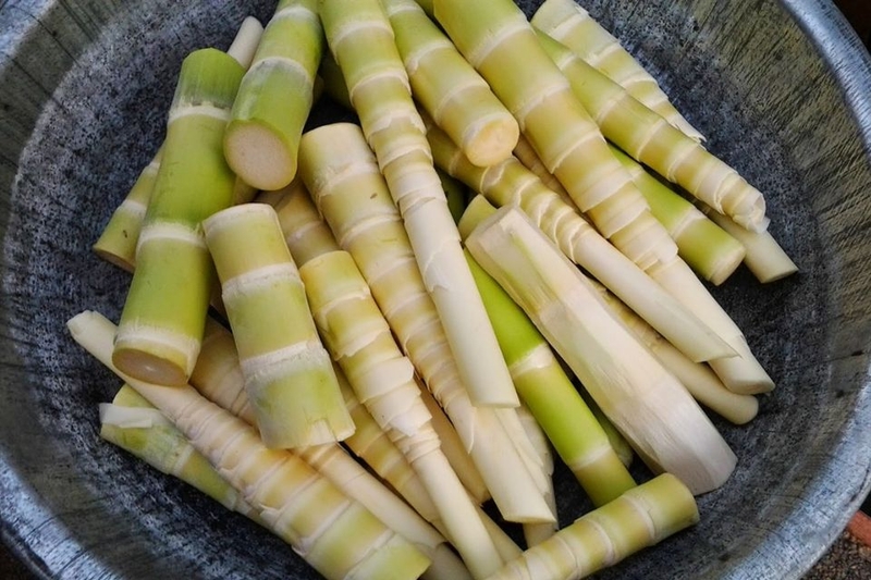 100g măng tươi bao nhi&ecirc;u calo?