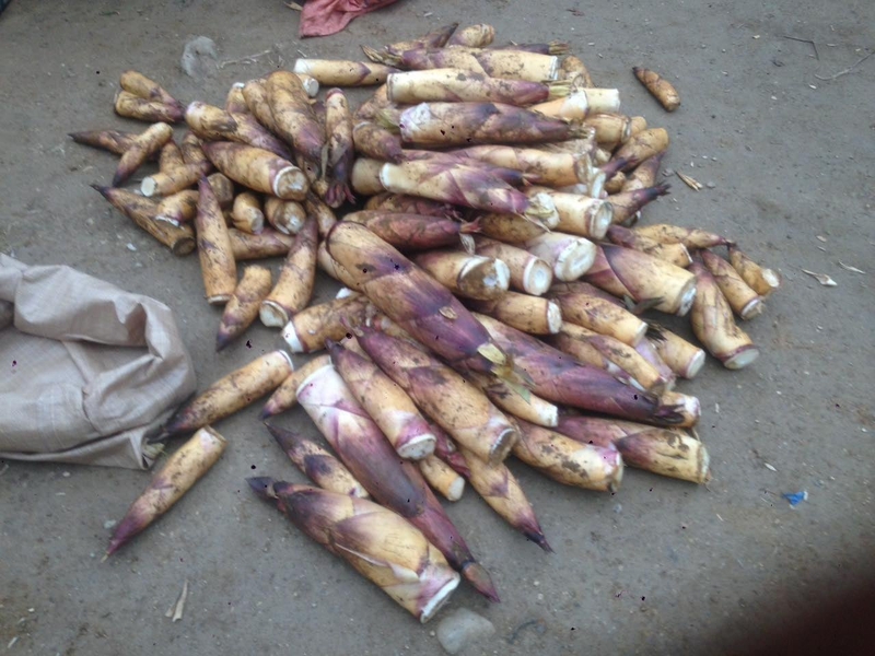 Măng vầu là gì làm món gì ngon 6