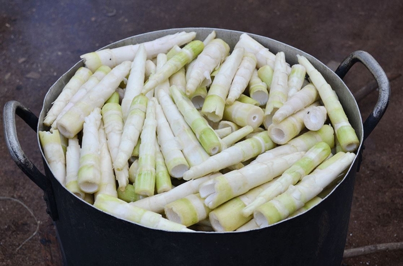 Mẹo chọn măng tươi ngon