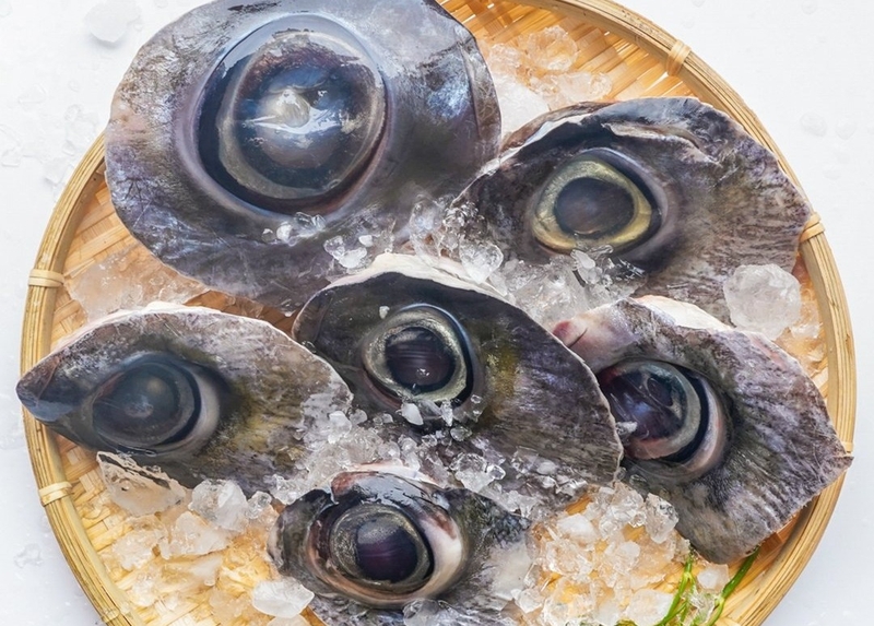 Mắt cá ngừ đại dương hầm thuốc bắc 1